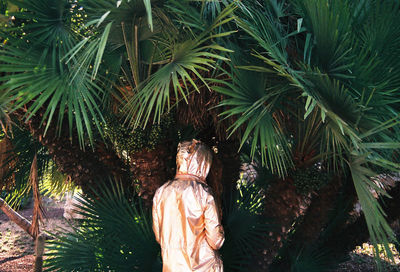 Rear view of person in costume standing against palm tree