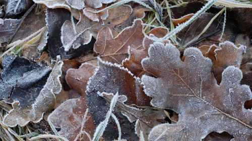 Full frame shot of frozen ice