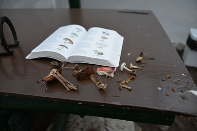 Close-up of book on table