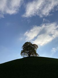 Low angle view of tree on hill against sky