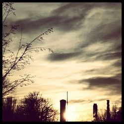 Low angle view of bare trees against cloudy sky