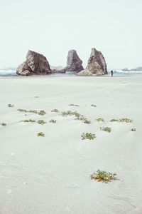 Scenic view of beach against clear sky