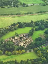 Aerial view of green landscape