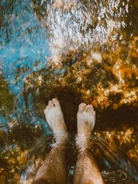 Low section of person on wet shore