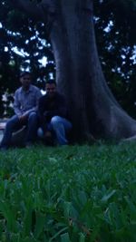 People sitting on field by trees in forest