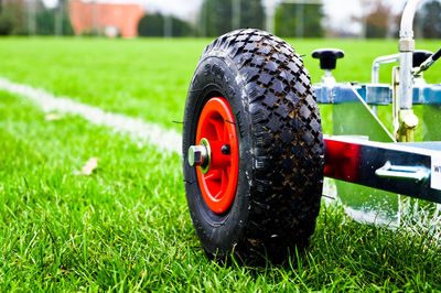 Close-up of grass in field