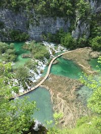 High angle view of river amidst trees in forest