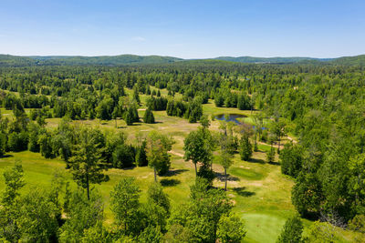 Scenic view of trees on landscape against sky