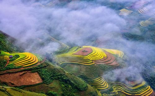 High angle view of multi colored umbrella on land