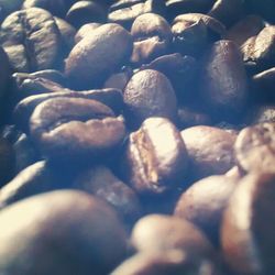 Close-up of food in the dark