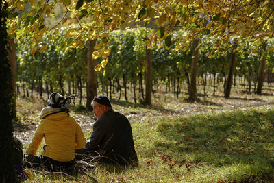 Rear view of man sitting in garden