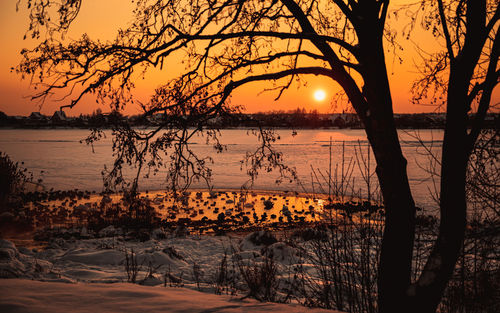 Scenic view of lake against orange sky