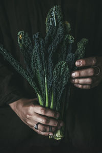 Person holding kale leaves