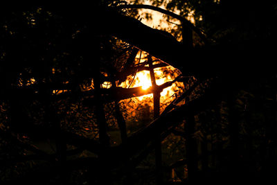Low angle view of silhouette trees against sunset