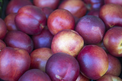 Full frame shot of apples