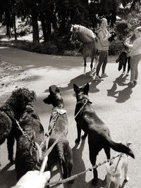 Group of people with dog on tree