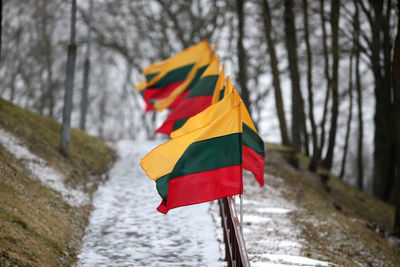 Multi colored flag against sky during winter