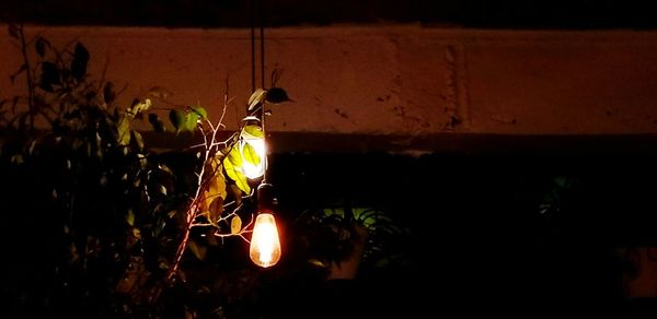 Close-up of illuminated lamp at night