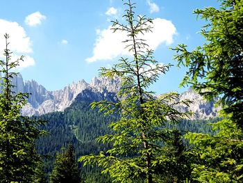 Low angle view of fresh green mountains against sky