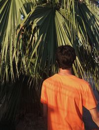 Rear view of man standing by palm trees