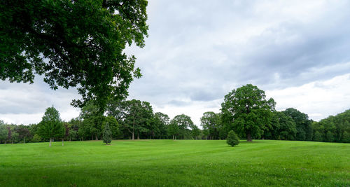 Trees on field against sky