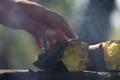 Close-up of hand holding meat