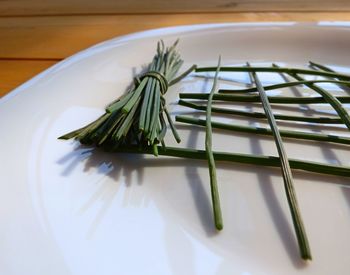 Close-up of food on table