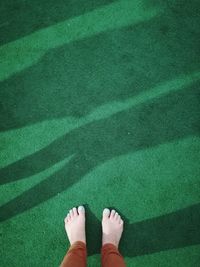 Low section of woman standing on grass