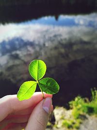 Close-up of hand holding leaf