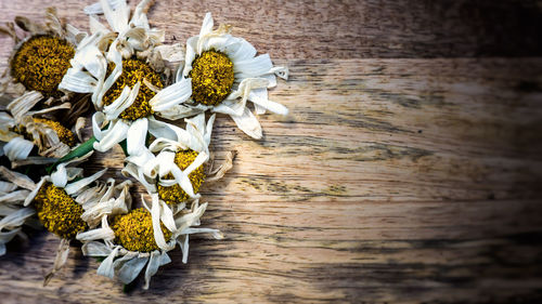 High angle view of dried white flowers on table