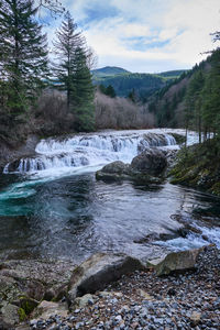 River flowing through rocks in forest against sky