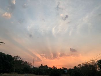 Low angle view of silhouette trees against sky during sunset