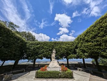 View of trees against sky