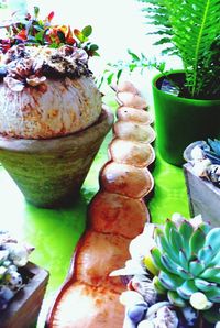 Close-up of fruit on table