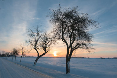 Bare tree on snow covered landscape against sky at sunset