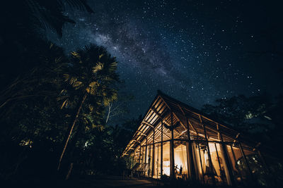 Low angle view of palm trees against sky at night