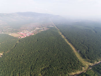 High angle view of agricultural field