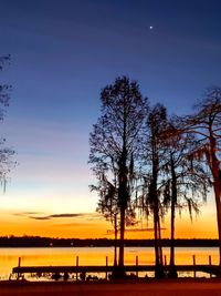 Silhouette trees by plants against sky at sunset