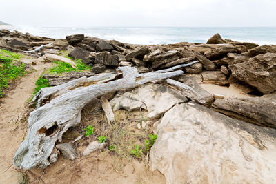 Rocks on beach against sky