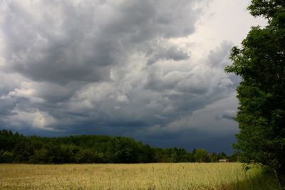 Scenic view of field against sky