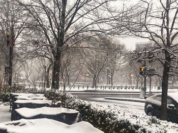 Snow covered bare trees by street during winter