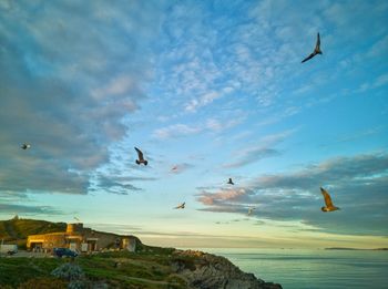 Seagulls flying over sea against sky