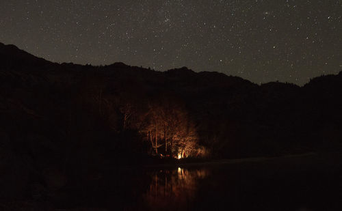 Illuminated tree by river at night