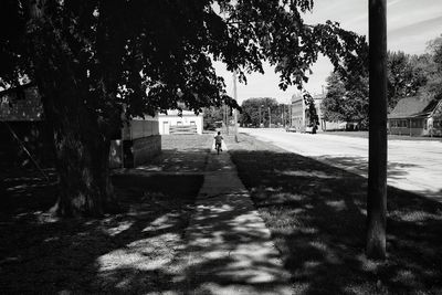 Empty footpath amidst trees