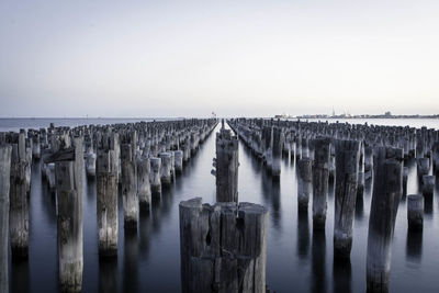 Wooden posts in sea water