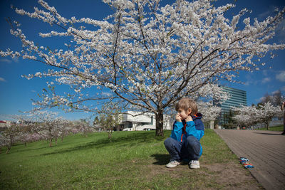 Full length of woman sitting on cherry blossom