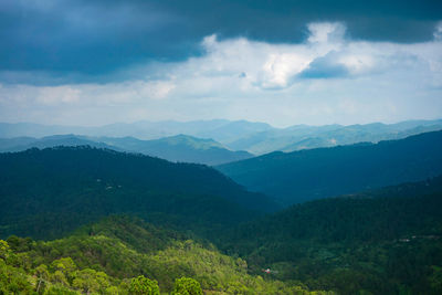 A beautiful and soothing landscape of mountains covered in clouds and green trees during winters.