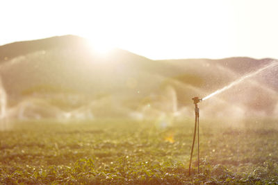 Scenic view of field against sky on sunny day