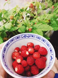 High angle view of strawberries in bowl