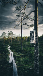 Trees on field against sky